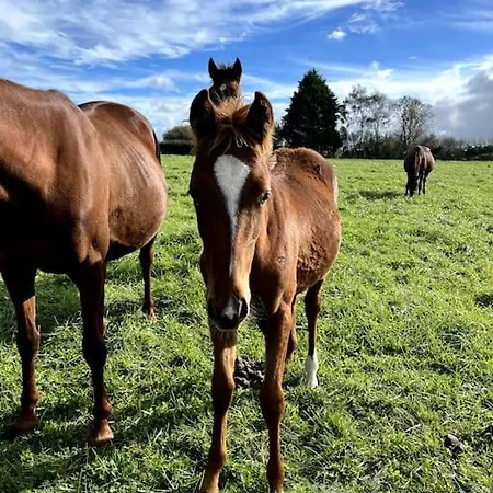 D'artistes Сasa de vacaciones Blainville-sur-Mer