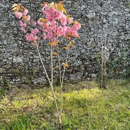 Сasa de vacaciones D'artistes