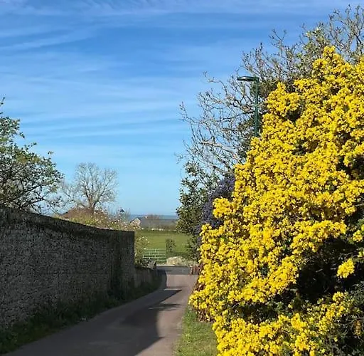 D'artistes * Blainville-sur-Mer