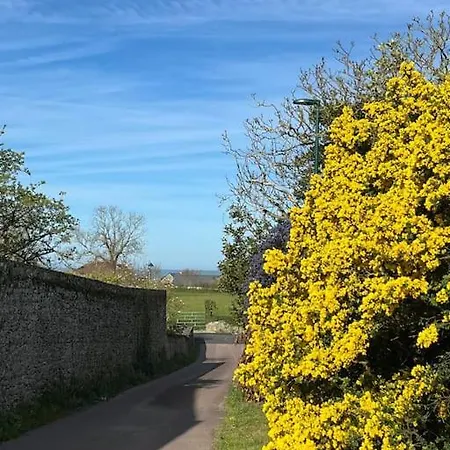 D'artistes * Blainville-sur-Mer