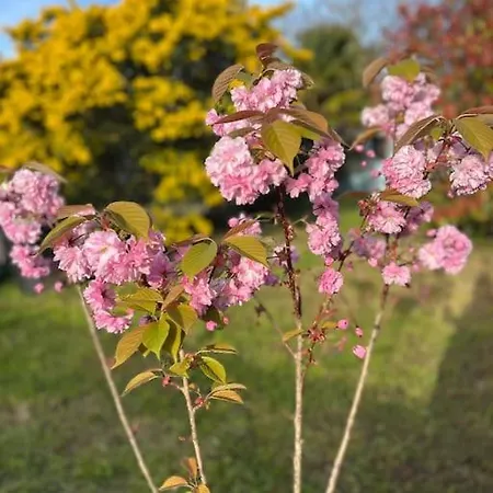 D'artistes Semesterbostad